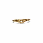 Beautiful ring with a twist